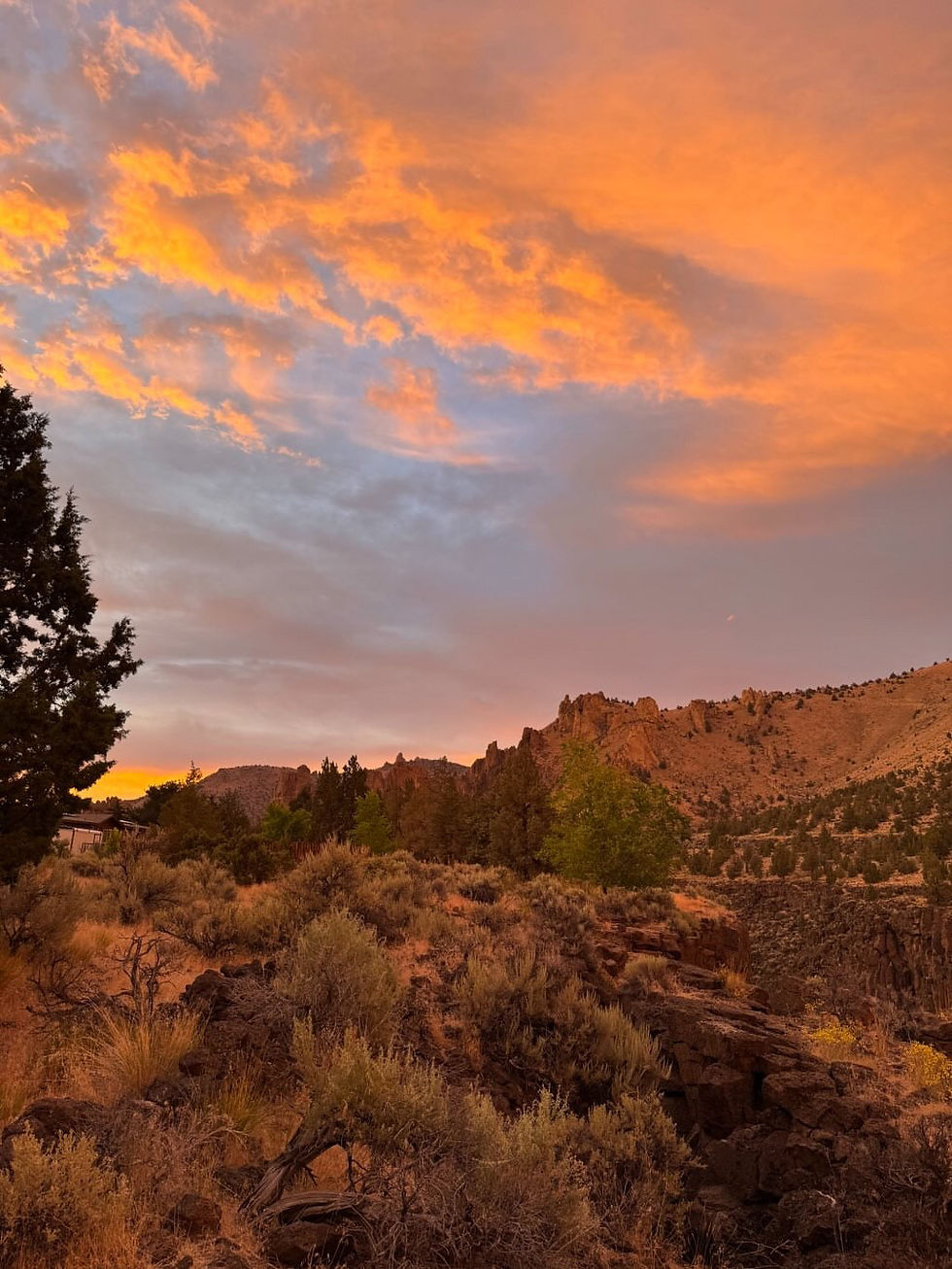 The Healing Hangout: Rose Garden Outing