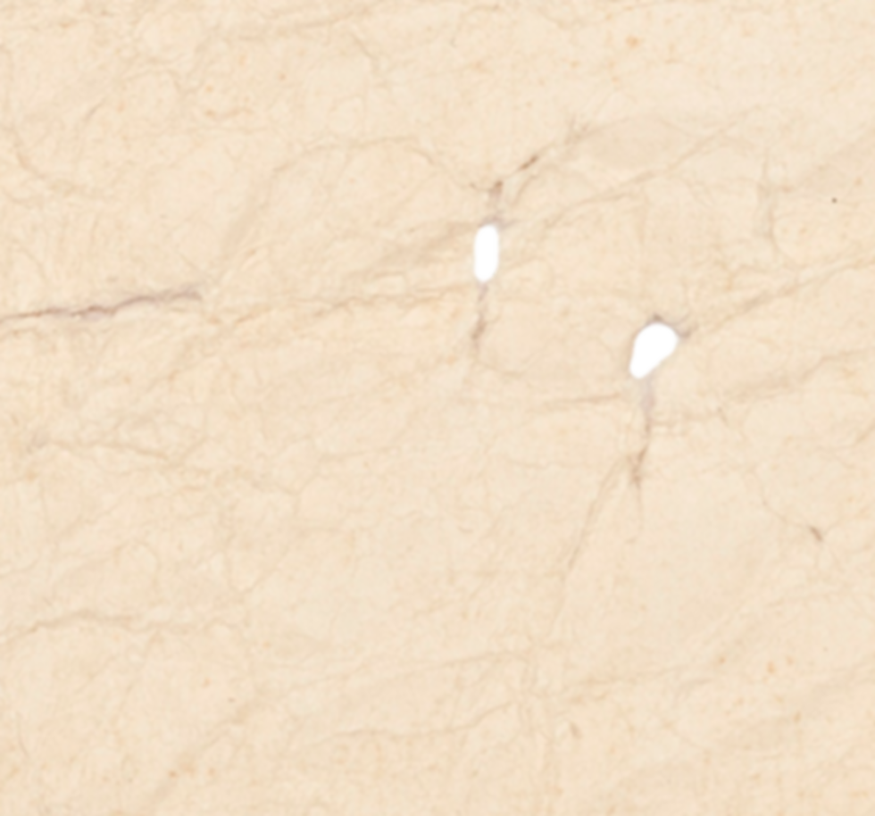 16.png