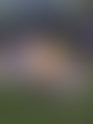 History of West Dalhousie