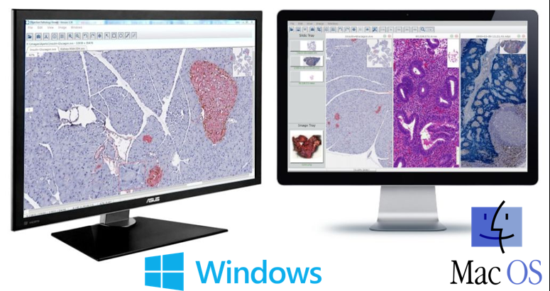 digital trio viewer software digital trio viewer software