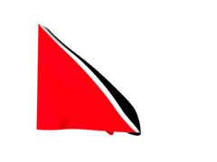 Trinidad-and-Tobago_240-animated-flag-gifs.gif