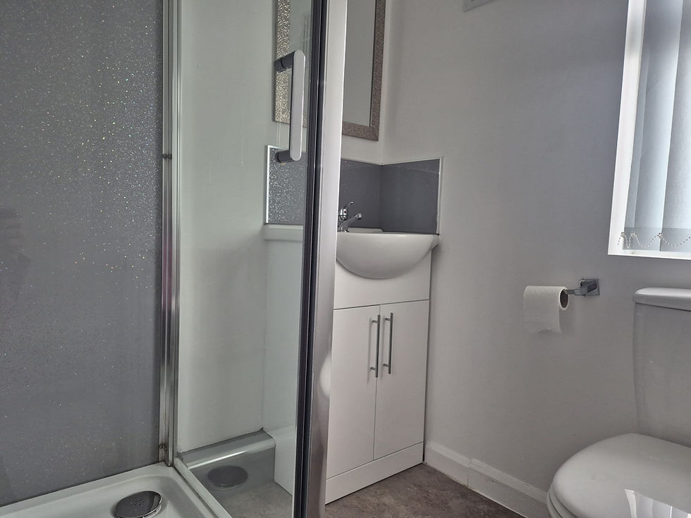 Modern bathroom at Loxdale with shower, sink, and toilet.