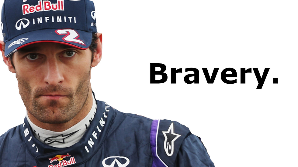Mark Webber driving style