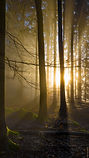 _x1a4712.jpg