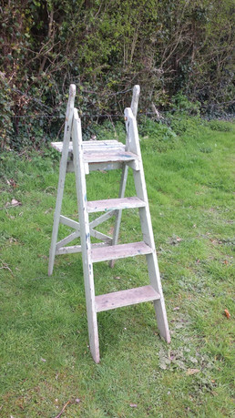 Decorators Step Ladder