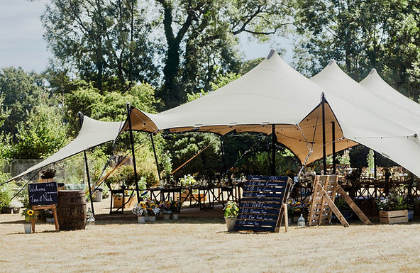 stretch tent 3.jpeg