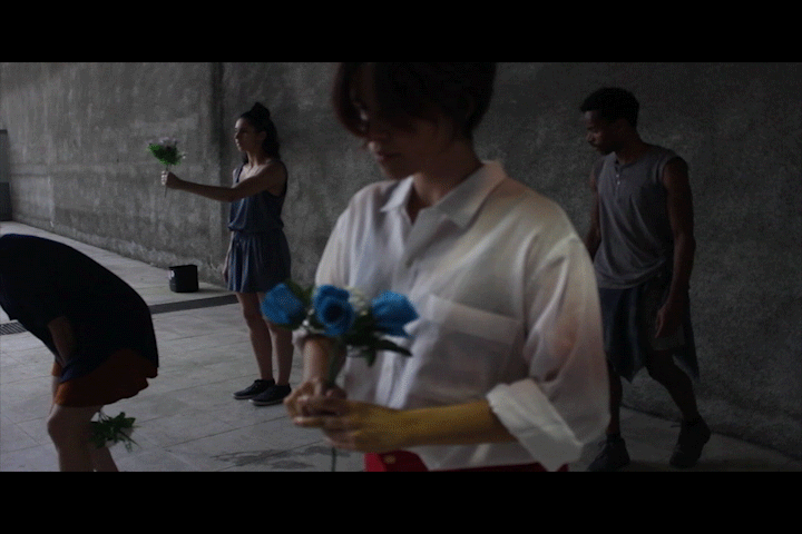 Flores-1 gif.gif