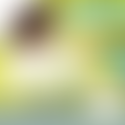 4/21,26子どもの未来応援講座～子育てとお金のお勉強～