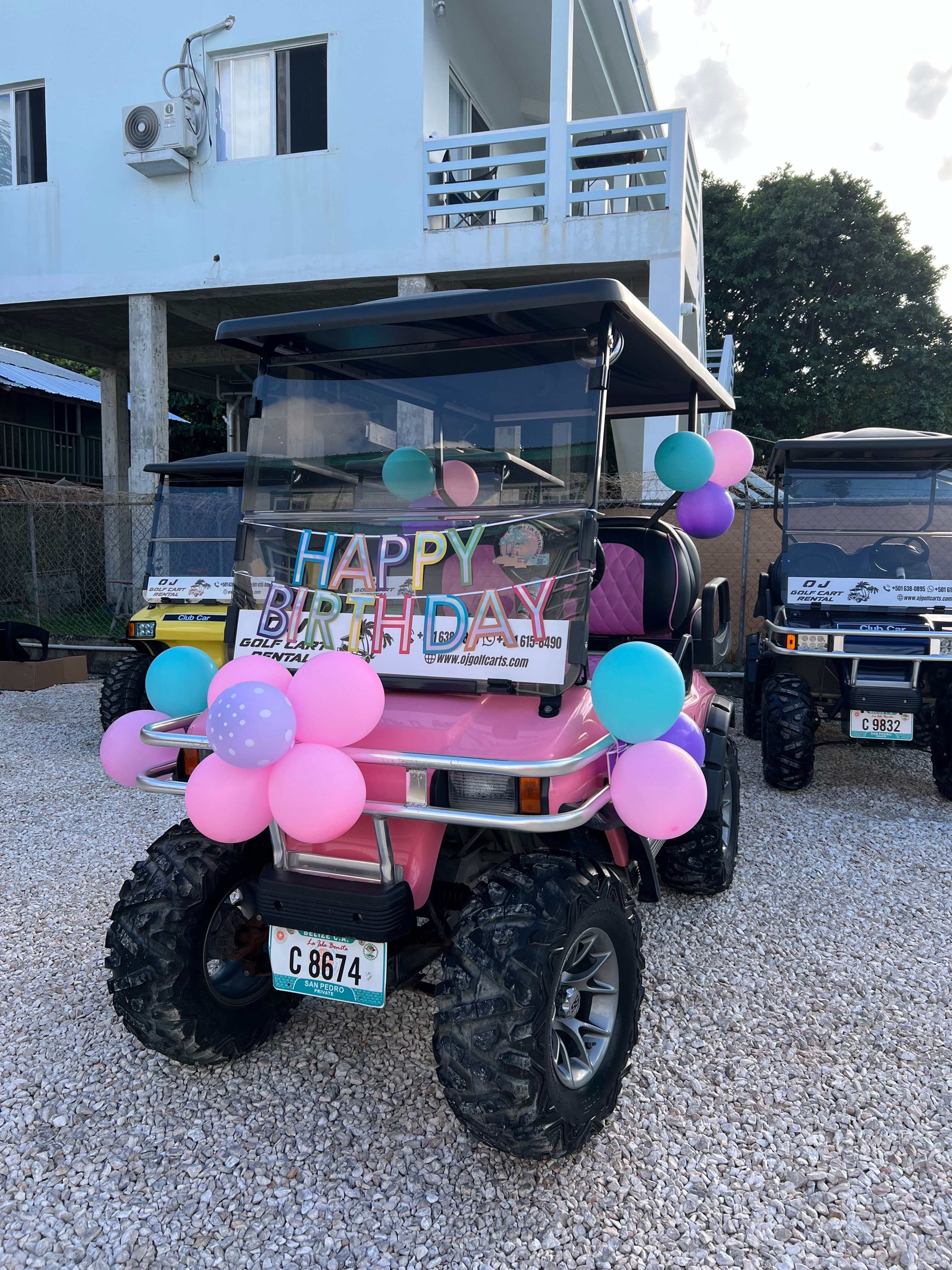 Birthday Decorations for Golf Cart