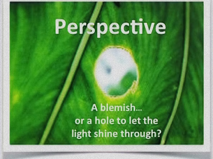Perspective