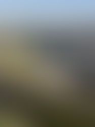 Vilniaus kongresų centro idėjos konkursas