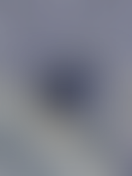 MALONIOJI G. 5 ARCHITEKTŪRINĖS IDĖJOS KONKURSAS