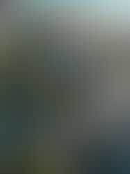 ŠIAURĖS RAGO SKVERO KLAIDĖDOJE ATVIRAS PROJEKTO KONKURSAS