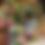 Thumbnail: Mother’s Day - pre-orders and pop up shop 