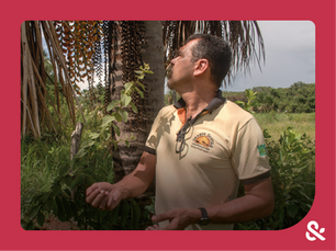 Buriti dos Sertões de Minas: fortalecendo a sociobioeconomia e valorizando o Cerrado