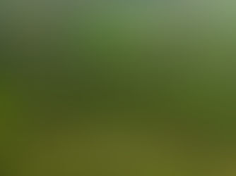 Como integrar inovação, tecnologia e justiça social às SbN