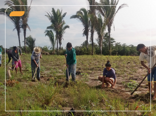 Agricultura Familiar e Adaptação Climática: o futuro do campo