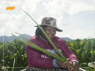 Bioeconomia: inovação sustentável e resiliência para o futuro
