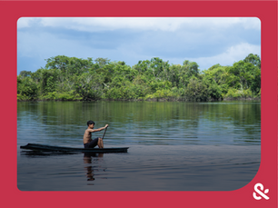 Pique e Castanheiros do Unini: fortalecendo a sociobioeconomia na Amazônia