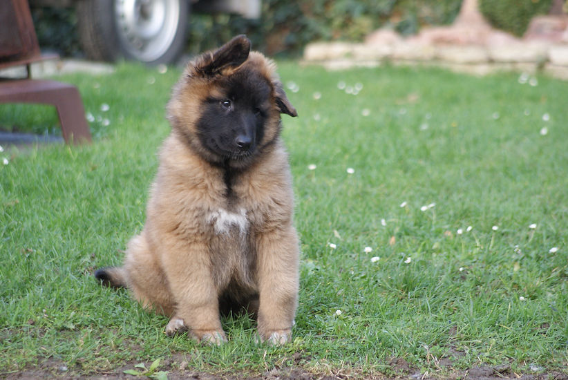 DSC06068 - kopie - kopie.JPG