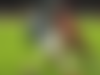 El exdelantero del Manchester United, Anthony Martial, se une al Monterrey en México.