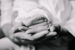 Macro close up of newborn feet being held by his mum and dad's hands