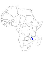 CARTE MALAWI.jpg
