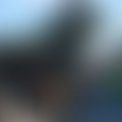 SICUREZZA, SANTORI (LEGA): “FORI IMPERIALI CHIUSI PER CROLLO PREVEDIBILE”