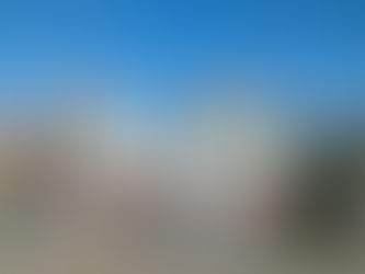 VERDE ROMA, SANTORI (LEGA): “GUALTIERI COME ATTILA. ALTRO CHE 1 MILIONE DI ALBERI: SOLO ABBATTIMENTI E OPACITÀ”