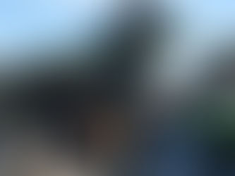 FORI IMPERIALI, SANTORI (LEGA): “COMMISSIONE AMBIENTE SOLO PROPAGANDA. CAOS TOTALE, ORA VOGLIAMO LE CARTE”