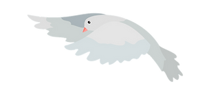 pigeon_001_edited.png
