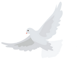 pigeon_001.png