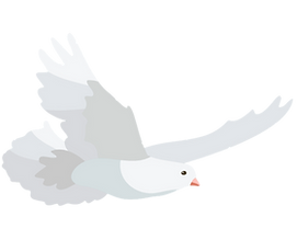 pigeon_001.png