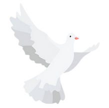 pigeon_001.png