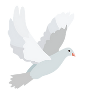 pigeon_001.png
