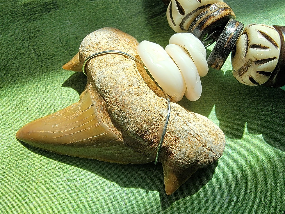 Thumbnail: Photograph of the Fossilized Shark Tooth on the Islands To Highlands Antilles Islands Bracelet on tropical painted wood.