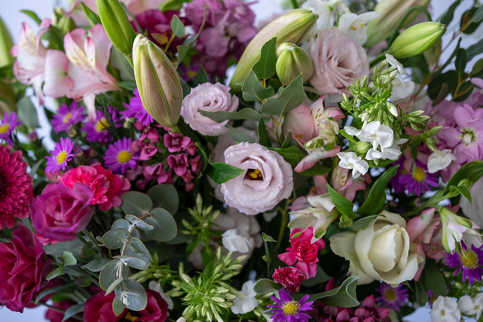 תמונה ממוזערת: פְלוּר דְּה רֶב