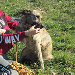 DSCN1256 (Copier).JPG