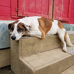 DSCN1256 (Copier).JPG