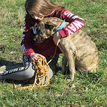 DSCN1244 (Copier).JPG