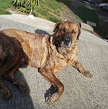 DSCN1256 (Copier).JPG