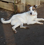 DSCN1244 (Copier).JPG