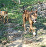 DSCN1256 (Copier).JPG