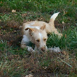 DSCN1256 (Copier).JPG