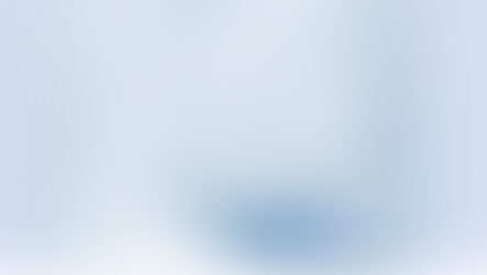 Digitalisierung: "Hundehütte oder Hochhaus?"