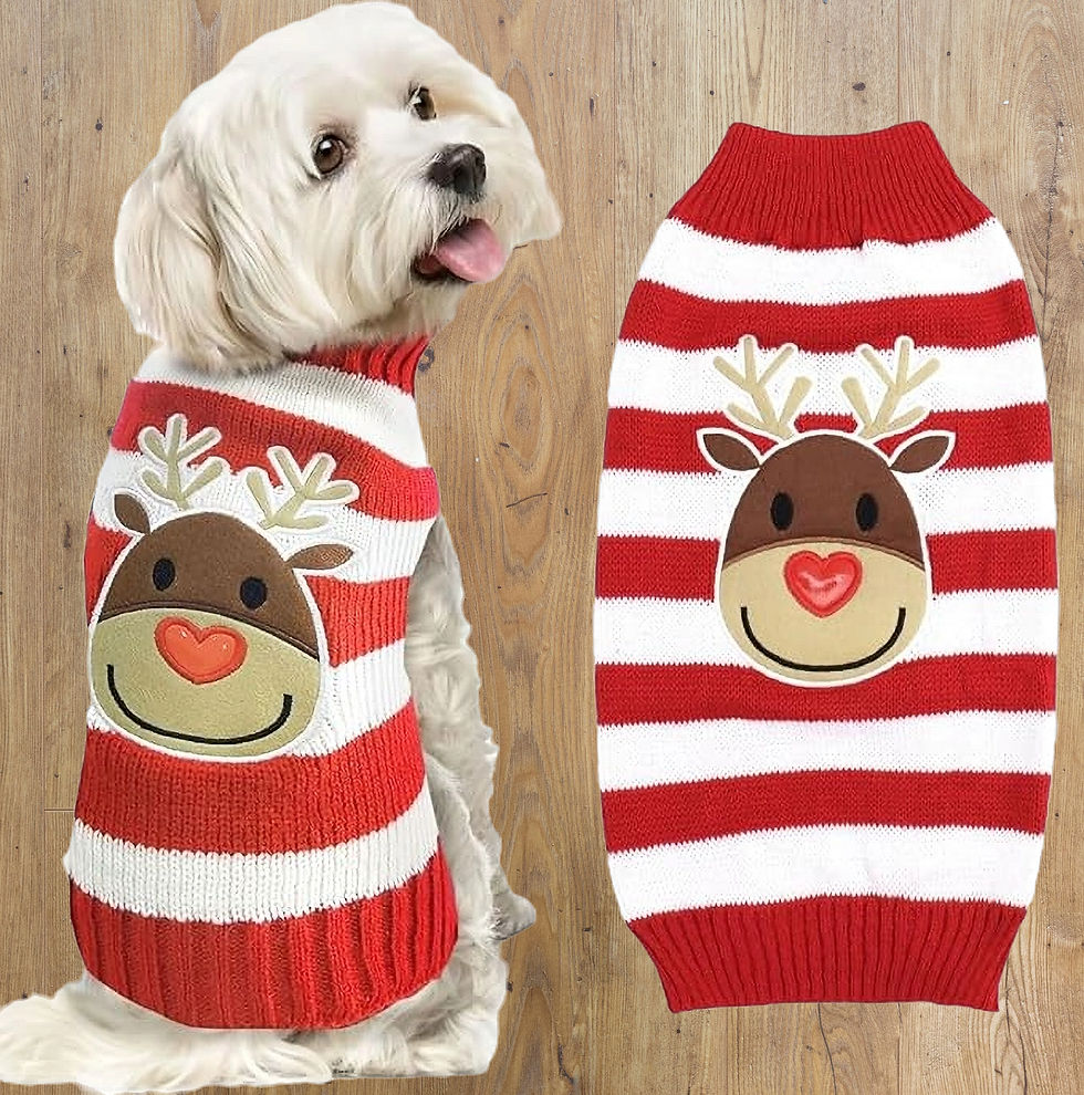 REINDEER CHRISTMAS JUMPER