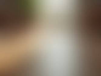 Unlock the Power of Freedom with MILK AND PEPPER Kaya Multifunction Leads for Hands-Free Walking