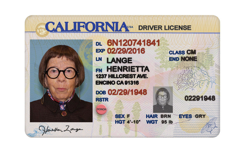 Hetty Lange new CA DL bk