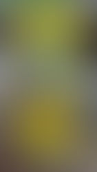 EASY GO STORAGE 方便利迷你倉