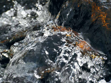 原來礦泉水有這樣分別?